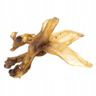 GACZOO 100% Naturalny przysmak dla psa Ucho Królicze bez futra 10 sztuk smakołyk