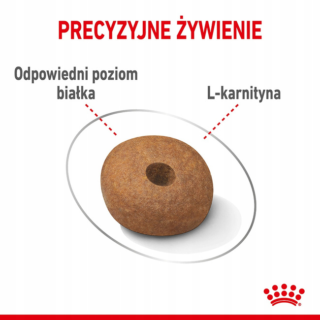ROYAL CANIN Medium Light Care karma sucha dla psów dorosłych 12 kg