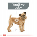 ROYAL CANIN CCN Mini Dental Care karma sucha dla psów dorosłych 3 kg