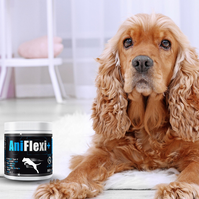 GAME DOG AniFlexi+ V2 Suplement na stawy dla psa 150g