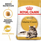 ROYAL CANIN Maine Coon Adult karma sucha dla kotów dorosłych 0,4 kg