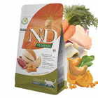 FARMINA N&D PUMPKIN zdrowa karma sucha dla kota Kaczka 300g