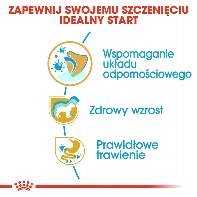 ROYAL CANIN Jack Russell Terrier Puppy karma sucha dla szczeniąt 3 kg