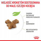 ROYAL CANIN Kitten karma sucha dla kociąt od 4 do 12 miesiąca życia 2 kg