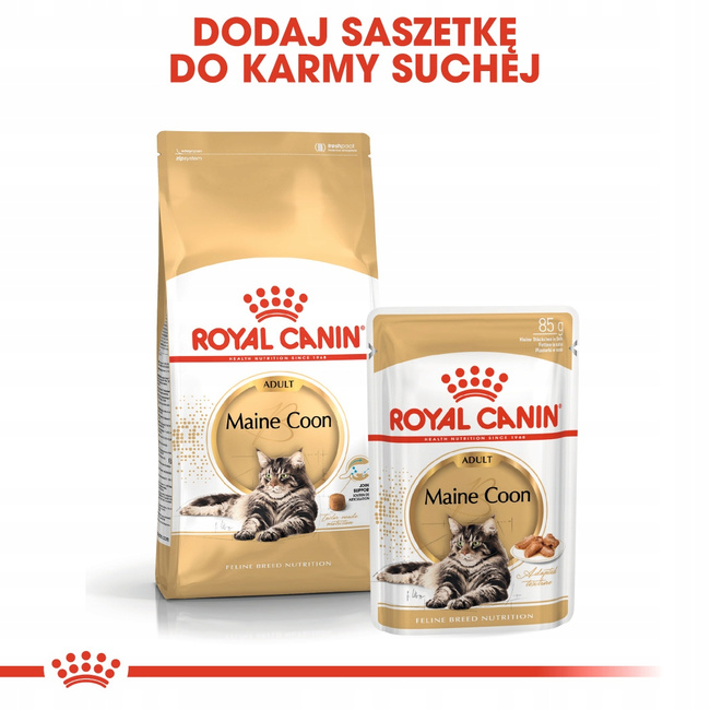 ROYAL CANIN Maine Coon Adult karma sucha dla kotów dorosłych 10 kg