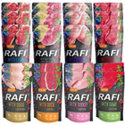 Karma mokra dla psa Saszetka RAFI MIX Smaków 20 x 500g