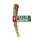 MACED POROŻE z Jelenia Gryzak Naturalny dla psa rozm L