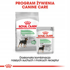 ROYAL CANIN CCN Digestive Care karma mokra - pasztet 12 x 85g