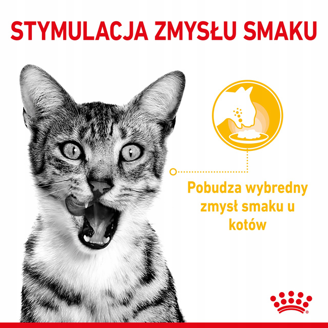 ROYAL CANIN Sensory Taste karma mokra kawałki dla kotów dorosłych 12 x 85 g