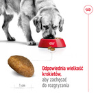 ROYAL CANIN Maxi Adult karma sucha dla psów dorosłych do 5 roku życia 10 kg