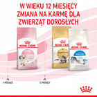 ROYAL CANIN Kitten karma sucha dla kociąt od 4 do 12 miesiąca życia 2 kg