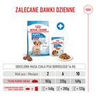 ROYAL CANIN Medium Puppy karma sucha dla szczeniąt 4 kg