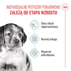 ROYAL CANIN Medium Puppy karma sucha dla szczeniąt 4 kg