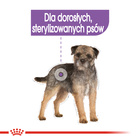 ROYAL CANIN CCN Sterilised karma mokra dla psów sterylizowanych 12 x 85 g