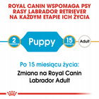 ROYAL CANIN Labrador Retriever Puppy karma sucha dla szczeniąt 12 kg