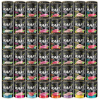 RAFI CAT Dolina Noteci Karma mokra dla kota mix smaków 48 x 400g bezzbożowa