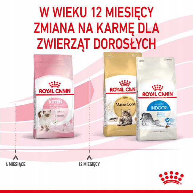 ROYAL CANIN Kitten karma sucha dla kociąt od 4 do 12 miesiąca życia 10 kg