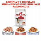 ROYAL CANIN Instinctive Gravy karma mokra w sosie dla kota 24 x 85g