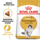 ROYAL CANIN Norvegian Forest Cat Adult karma sucha dla kotów dorosłych 2 kg