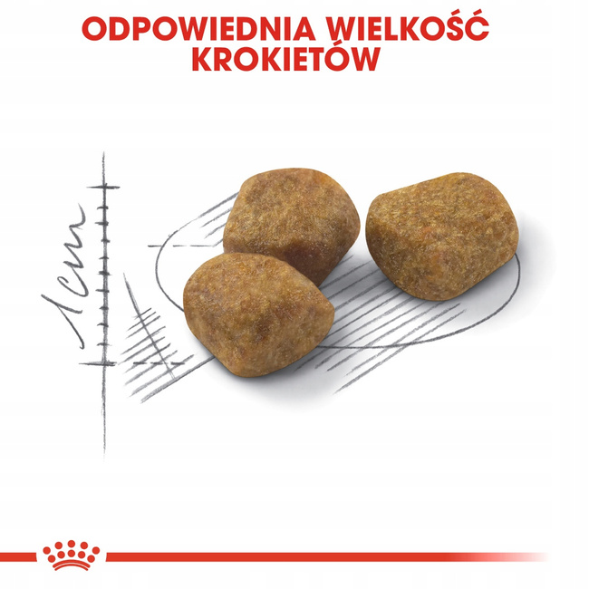 ROYAL CANIN FIT karma sucha dla kotów dorosłych, wspierająca kondycję 10 kg