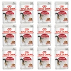 ROYAL CANIN Instinctive karma mokra w sosie dla kotów dorosłych 12 x 85 g