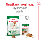 ROYAL CANIN Mini Adult 8+ karma sucha dla psów dojrzałych ras małych 2 kg