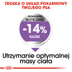 ROYAL CANIN CCN Mini Sterilised karma sucha dla psów dorosłych 3 kg