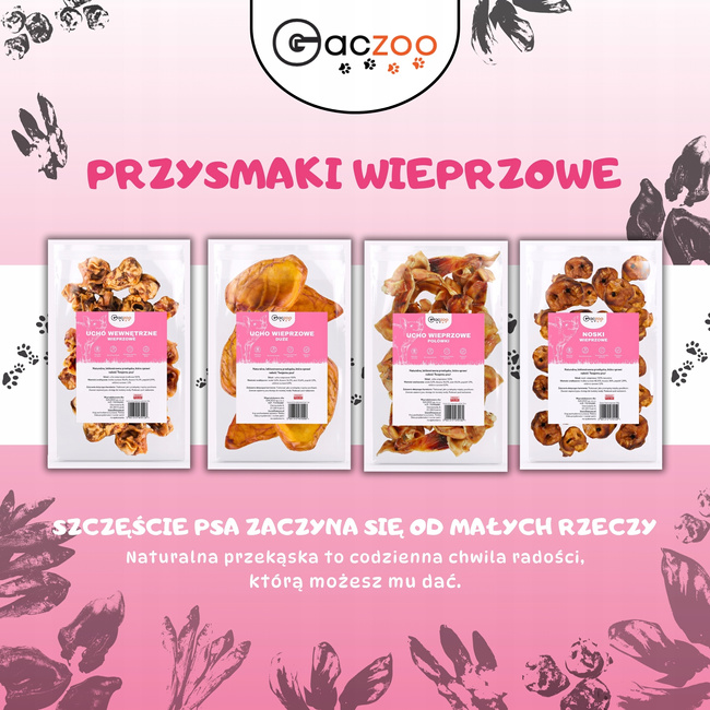 GACZOO 100% Naturalny przysmak dla psa Ucho Wieprzowe Duże XL 5 sztuk smakołyk