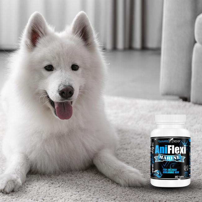 GAME DOG AniFlexi Marine V2 suplement na stawy dla psa 80 tabletek