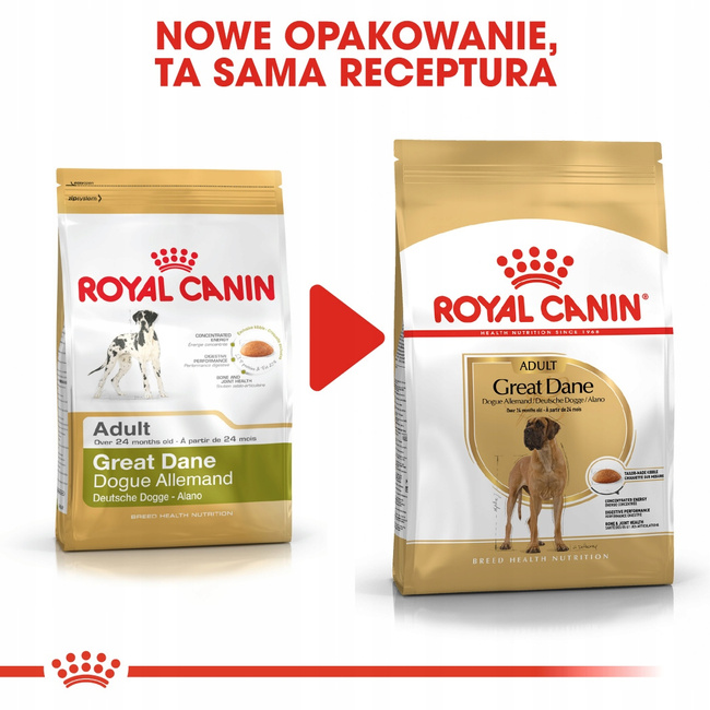ROYAL CANIN Great Dane Adult karma sucha dla psów dorosłych 12 kg