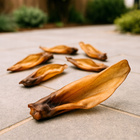 Przysmak dla psa Ucho Sarny bez włosa 2 szt GACZOO naturalny gryzak