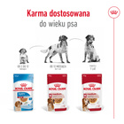 ROYAL CANIN Medium Adult karma mokra w sosie dla psów dorosłych 10 x 140 g