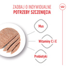 ROYAL CANIN Starter Mother and Babydog Mousse - karma mokra 12 x 195 g