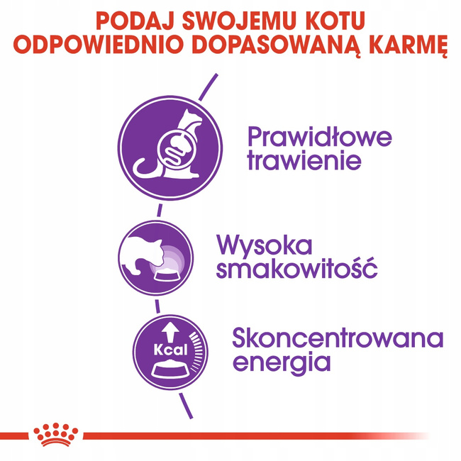 ROYAL CANIN Sensible 33 karma sucha dla kotów dorosłych 4 kg