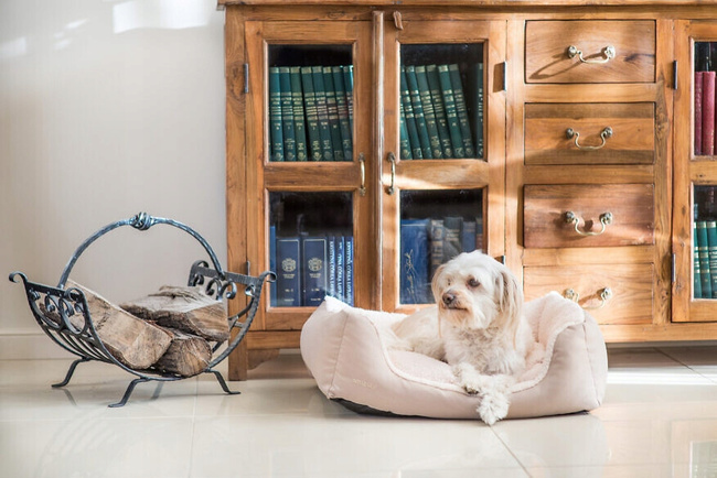 GRANDORF DOG karma mokra dla psa mix smaków 48 x 400g + LEGOWISKO XL