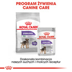 ROYAL CANIN CCN Mini Sterilised karma sucha dla psów dorosłych 3 kg