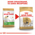 ROYAL CANIN Pug Adult karma sucha dla psów dorosłych rasy mops 1,5 kg