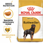 ROYAL CANIN Rottweiler Adult karma sucha dla psów dorosłych 12 kg