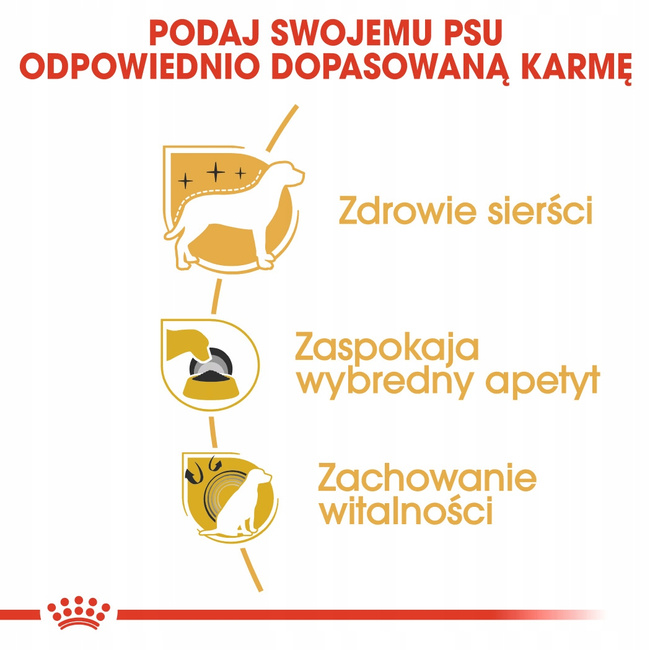 Royal Canin Yorkshire Terrier Adult karma sucha dla dorosłych psów 1,5 kg