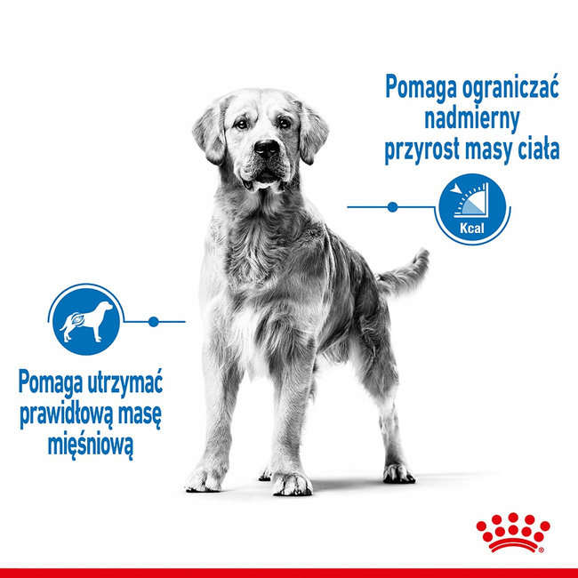 ROYAL CANIN Maxi Light Care karma sucha dla psów dorosłych 12 kg