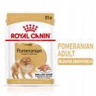 ROYAL CANIN Pomeranian Adult karma mokra pasztet 12 x 85 g
