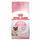 ROYAL CANIN Mother&Babycat karma sucha dla kotek w okresie ciąży 2 kg
