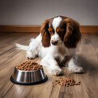 WIEJSKA ZAGRODA Mokra karma dla psa Indyk Królik 12 x 400g bezzbożowa