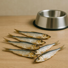 GACZOO 100% Naturalny przysmak dla psa Szprotki Bałtyckie 100g smakołyk