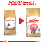 ROYAL CANIN British Shorthair Kitten karma sucha dla kociąt 10 kg