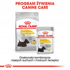 ROYAL CANIN CCN Mini Dermacomfort karma sucha dla psów dorosłych 1 kg