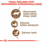 ROYAL CANIN Ageing +12 karma sucha dla kotów sterylizowanych 4 kg