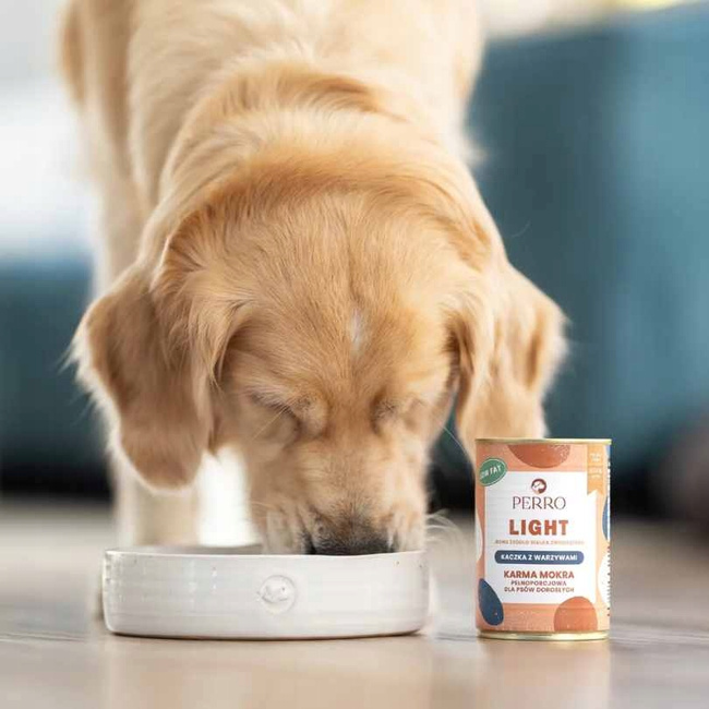 Perro LIGHT Monobiałkowa karma mokra dla psa Kaczka z warzywami 800g