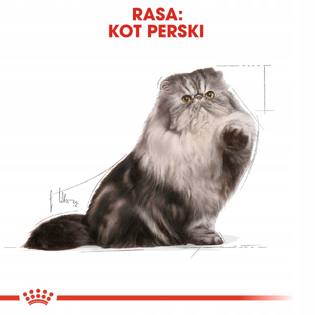 ROYAL CANIN Persian Adult karma sucha dla kotów dorosłych rasy pers 4 kg