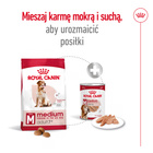 ROYAL CANIN Medium Adult 7+ karma sucha dla psów dojrzałych 15 kg